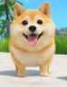 dogemon